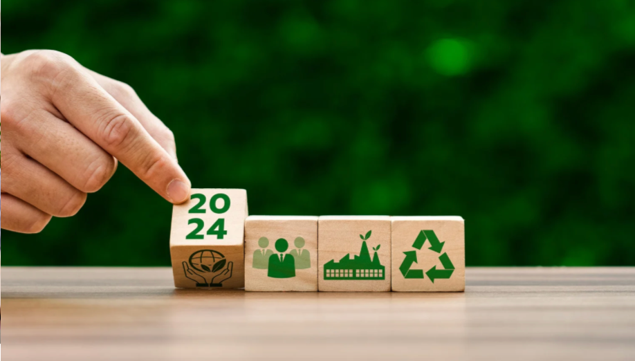 Sustainability and Social Responsibility